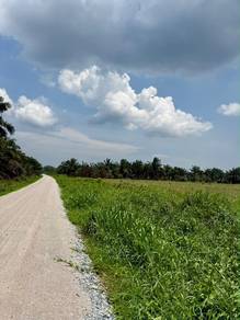 Agricultural Land in Pontian, JHR