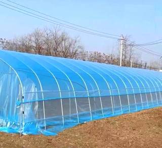 12s x 10m x 10m UV sheet / Greenhouse Film