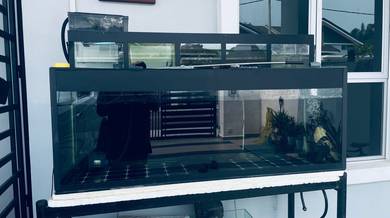 Aquarium untuk dijual