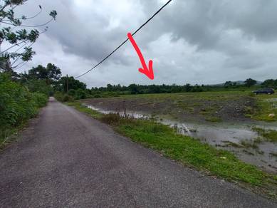 Residential Land in Marang, TRG