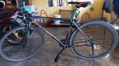 basikal dewasa