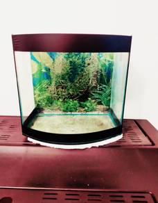 1ft curve aquarium.