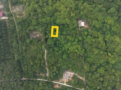 Residential Land in Temerloh, PHG