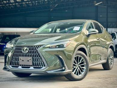 Lexus NX 250 BASE GRADE in Chan Sow Lin, KUL