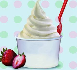 Established Frozen Yogurt Franchise for Sale