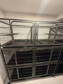 big cat cage