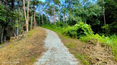 Agricultural Land in Rembau, NSN