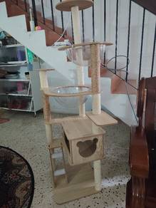 tempat tidur kucing