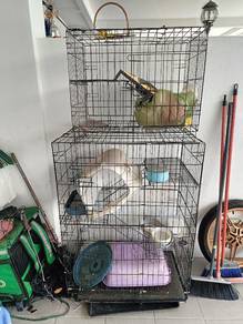 sangkar kucing 