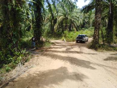 Agricultural Land in Kuala Krai, KTN
