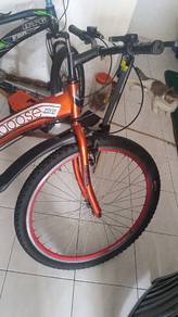 BASIKAL mongoose