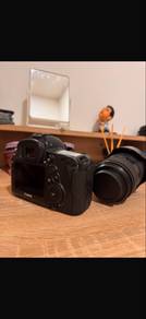 canon 5D mark iv+EF 24-105 F/4L canon lens