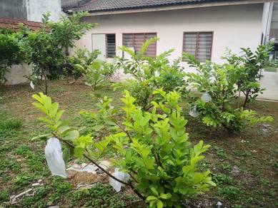 Semi-Detached House For Sale in Balai Panjang,MLK