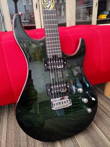 Tiger Rogen Limited Edition Guitar [Demo Unit]