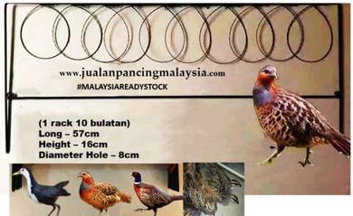 Racik burung puyuh model rack gawang
