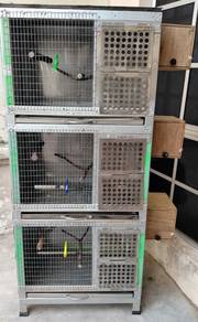 Sangkar Terpakai untuk Burung - Aluminium / Steel