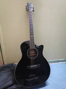 guitar with accecoris 