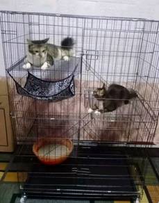 Big Cat Cage 3 Level