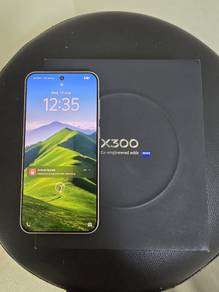 Vivo X300