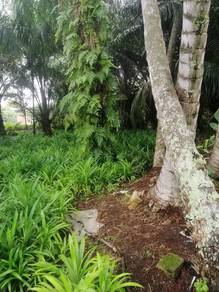 Commercial Land in Kulai, JHR