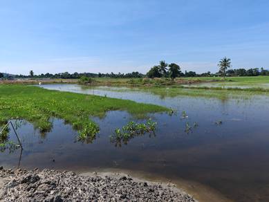 Agricultural Land in Tasek Gelugor, PNG