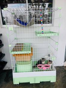 untuk dijual kandang dengan kucing