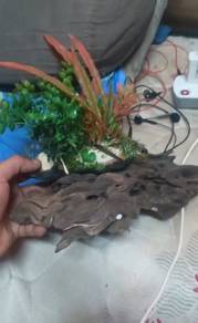 kayu hias akurium