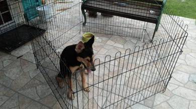 5Pcs Set Modular Play Pen 91x68cm Dog Rabbit Cage