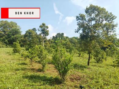 Agricultural Land in Pinang Tunggal, KDH