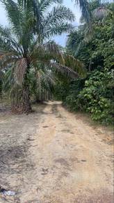 Agricultural Land in Manong, PRK