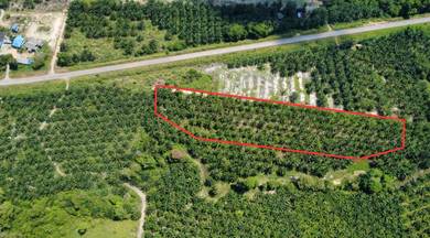 Agricultural Land in Pekan, PHG