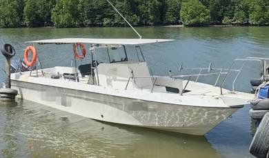 Yamaha Boat Bot 200hp twin