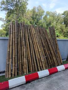 Decoration bamboo