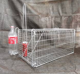 Big trap 54cm x 30cm x 27cm / perangkap besar