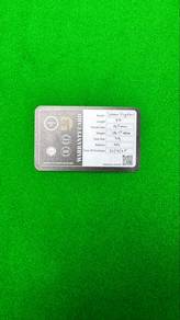 immortal Fighter snooker cue