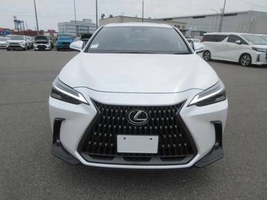 Lexus NX 250 VERSION L in Kuching, SWK