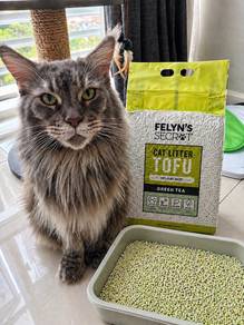 Cat Litter Tofu 10l