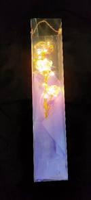 Love Light Rose Gift