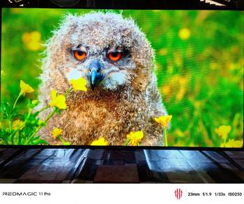 Tv Xiaomi 4K UHD 55"