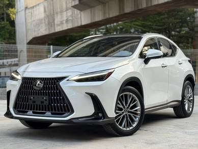 Lexus NX 250 LUXURY in Cheras, KUL