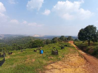 Agricultural Land in Kapar, SGR