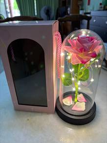 enchanted Rose in glass dome with lights