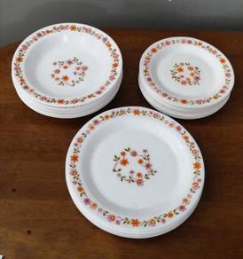 Arcopal scania plate set
