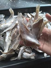 Ikan gelama kerinh( Buang perut)