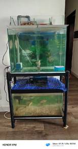 aquarium 