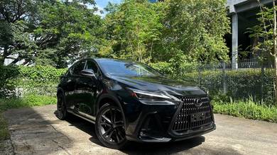 Lexus NX 250 LUXURY in Desa Petaling, KUL