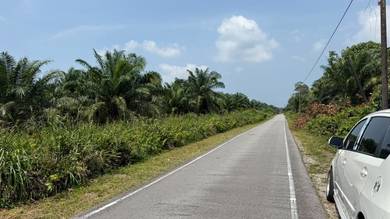 Agricultural Land in Pontian, JHR