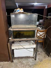 aquarium size 2 kaki