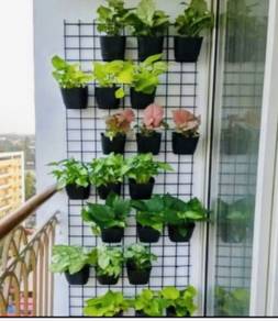 Wall hanging plant pot