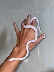 corn snake